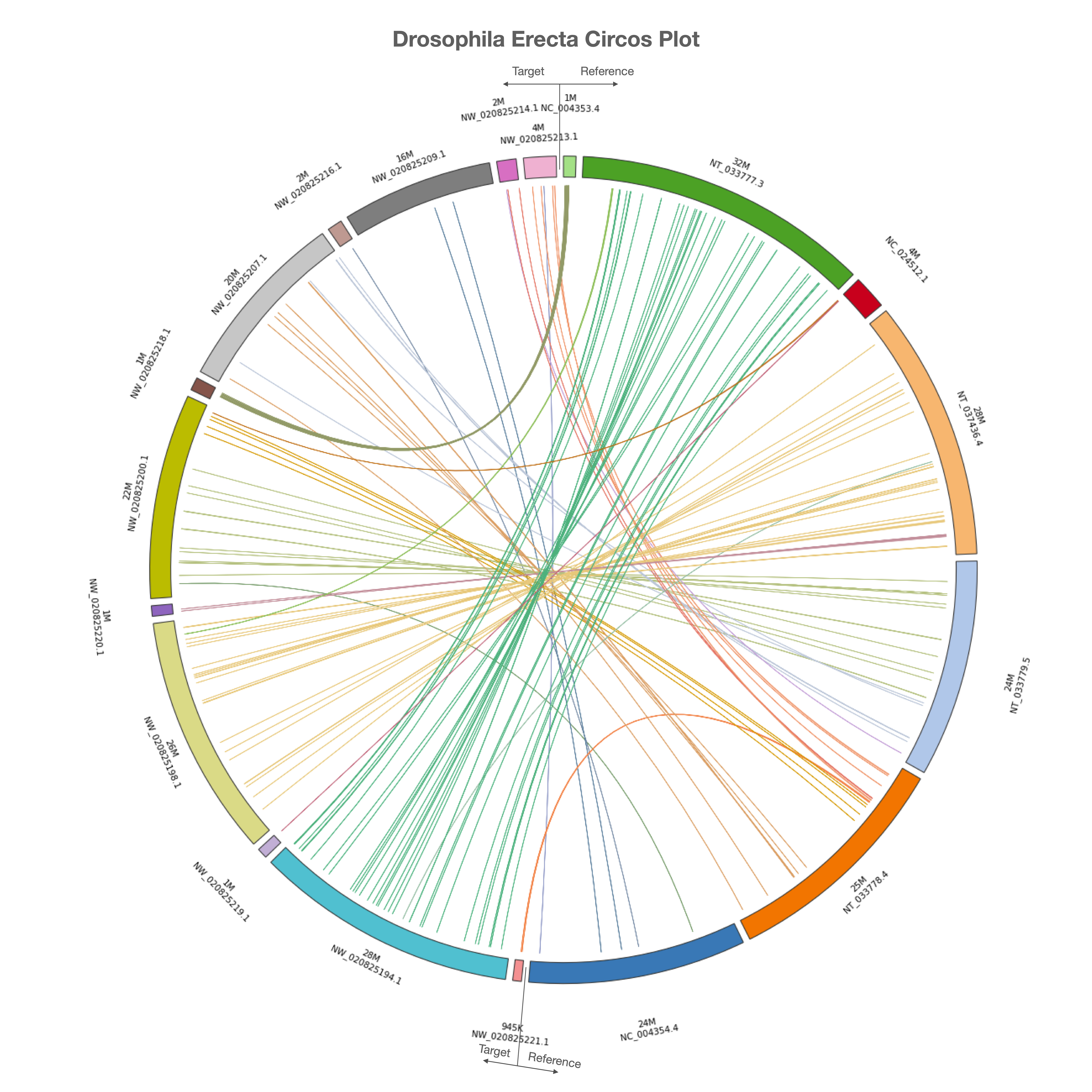 ../../_images/circos_plot1.png