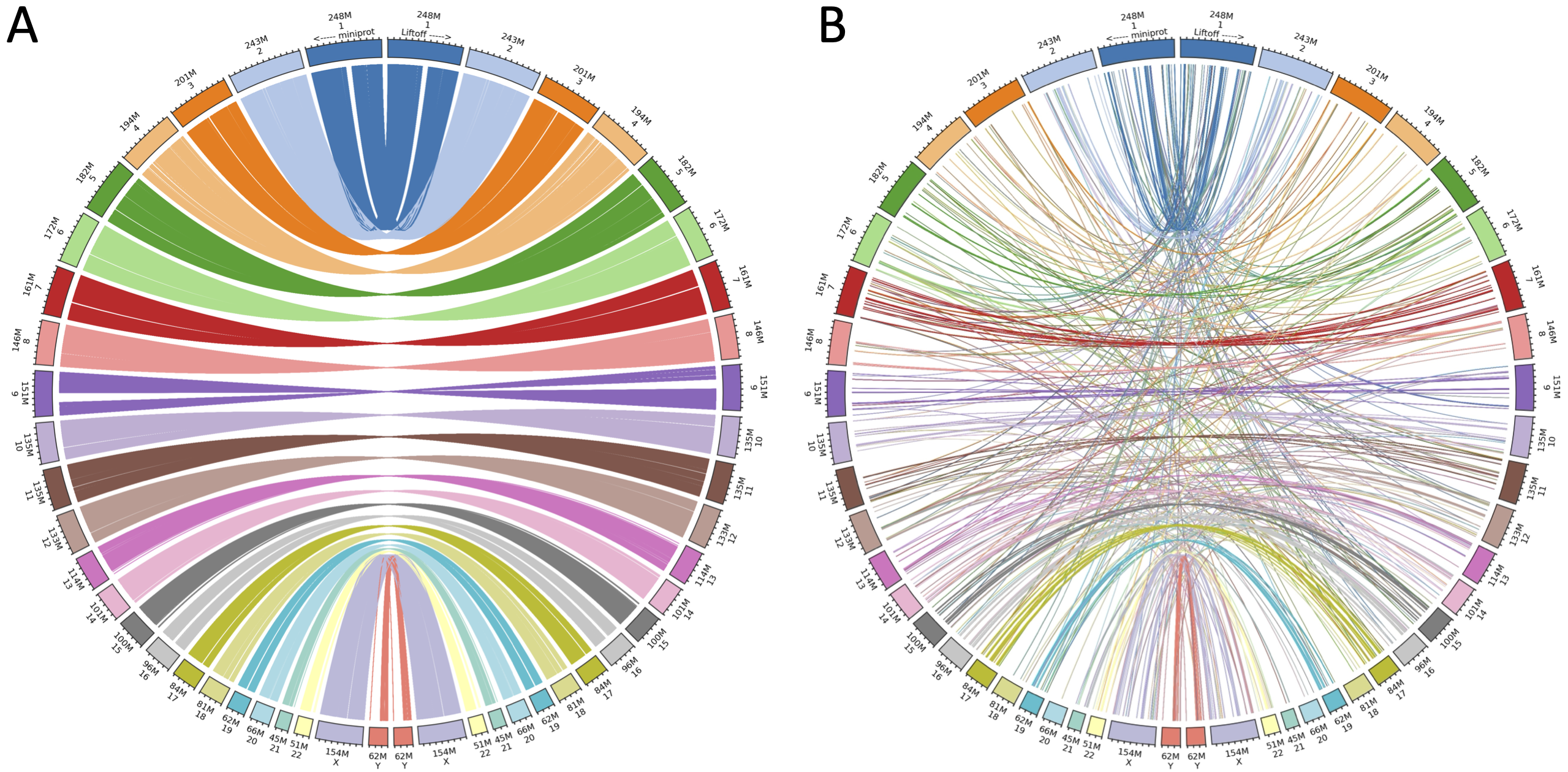 ../_images/circous_plots_liftoff_miniprot_cmp.png