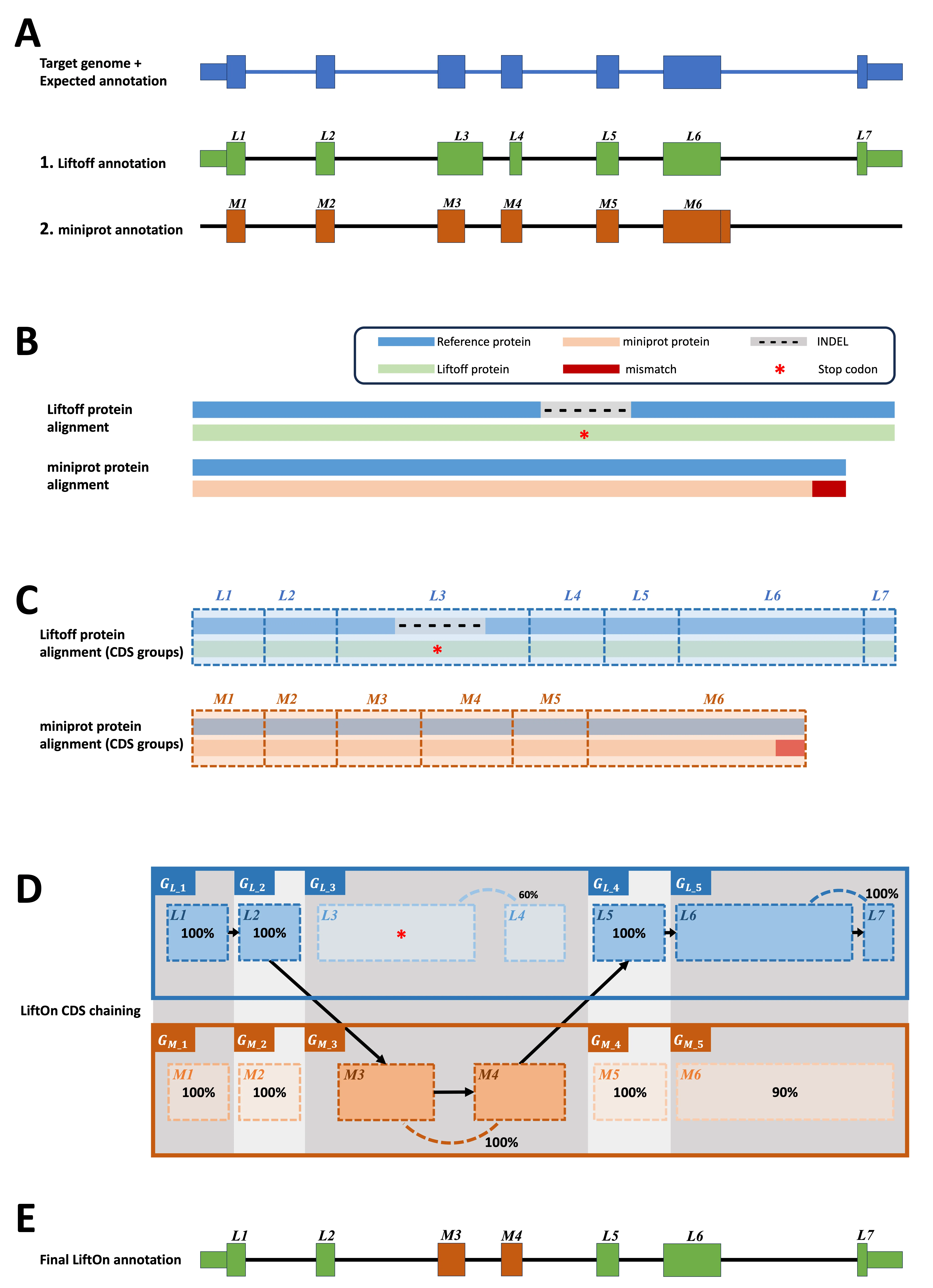 The LiftOn workflow combining DNA and protein evidence, panels A through E