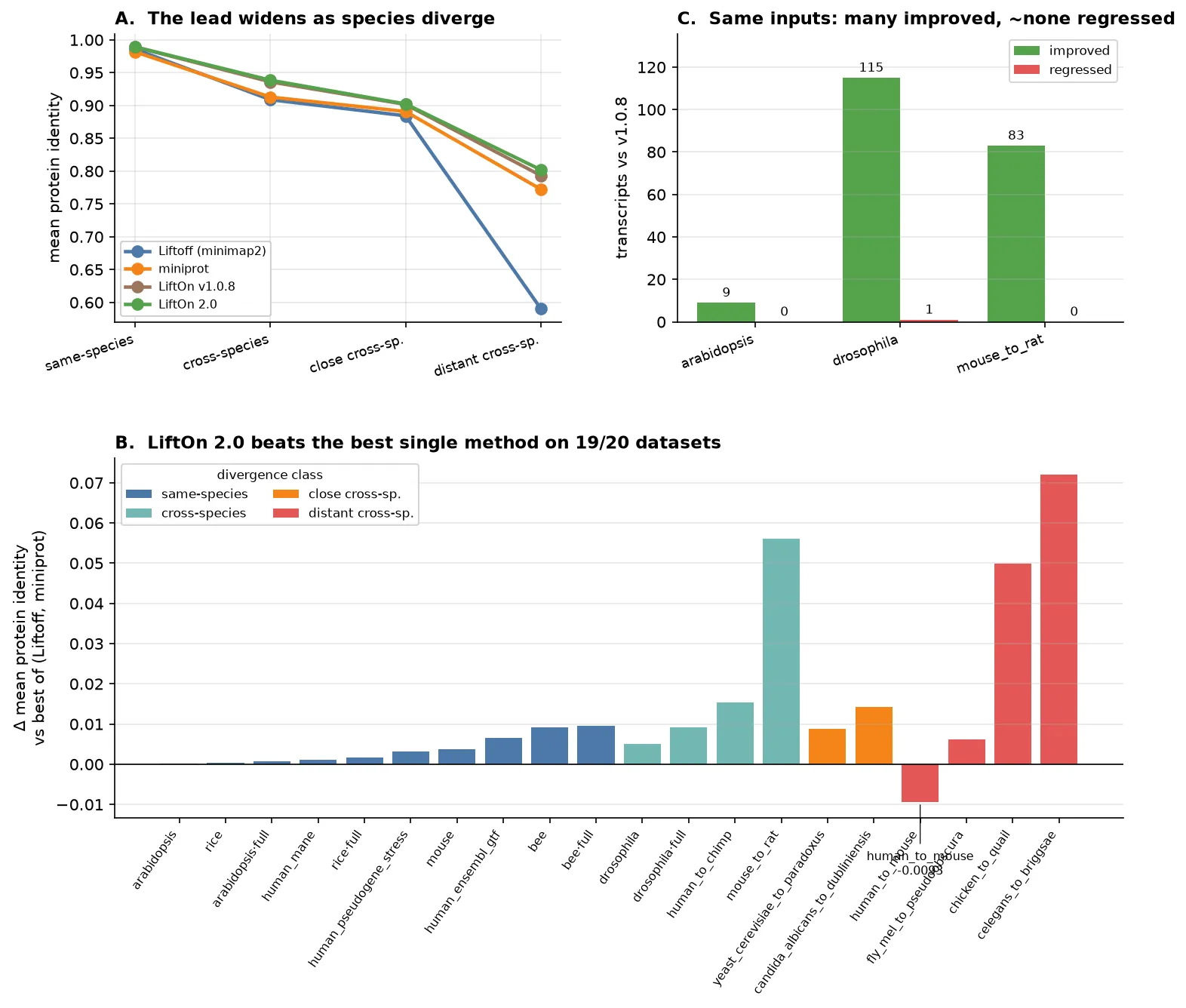 Three-panel accuracy figure. (A) A line plot of mean protein identity versus divergence class for Liftoff, miniprot, LiftOn v1.0.8, and LiftOn 2.0; all decline as species diverge, with LiftOn 2.0 highest through most of the ladder and the gap to the baselines widening. (B) A bar chart of LiftOn 2.0 minus the best single baseline for each benchmark, colored by divergence class, positive almost everywhere and largest on distant pairs, with human to mouse annotated as the one negative. (C) A grouped bar chart of transcripts improved versus regressed relative to v1.0.8 on the datasets that change, with improvements far outnumbering regressions.