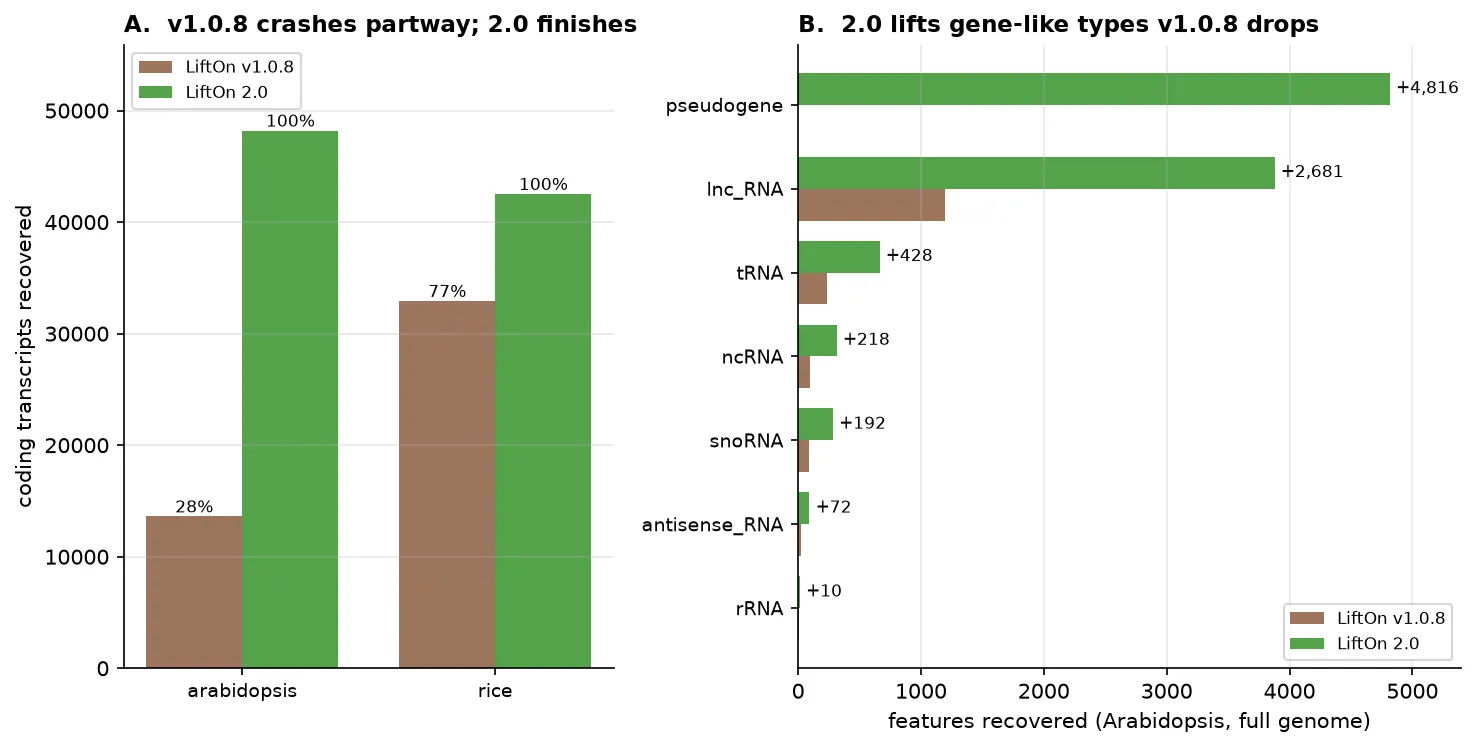 Two-panel completeness figure. (A) Grouped bars of coding transcripts recovered on full Arabidopsis and rice genomes for LiftOn v1.0.8 versus 2.0; v1.0.8 reaches only 28 percent and 77 percent before crashing while 2.0 reaches about 100 percent. (B) Horizontal grouped bars of features recovered by type on the full Arabidopsis genome, with v2.0 recovering pseudogenes, lnc_RNA genes, tRNAs, rRNAs, and other feature classes that v1.0.8 dropped.