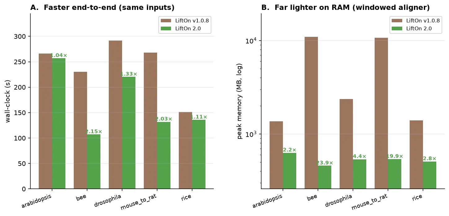 Two-panel performance figure. (A) Grouped bars of end-to-end wall-clock time for LiftOn v1.0.8 versus 2.0 on several datasets, with 2.0 faster everywhere and speedup factors labeled. (B) Grouped bars of peak memory on a logarithmic scale for the same runs, with 2.0 using far less RAM and fold-reductions labeled up to about 24 times.