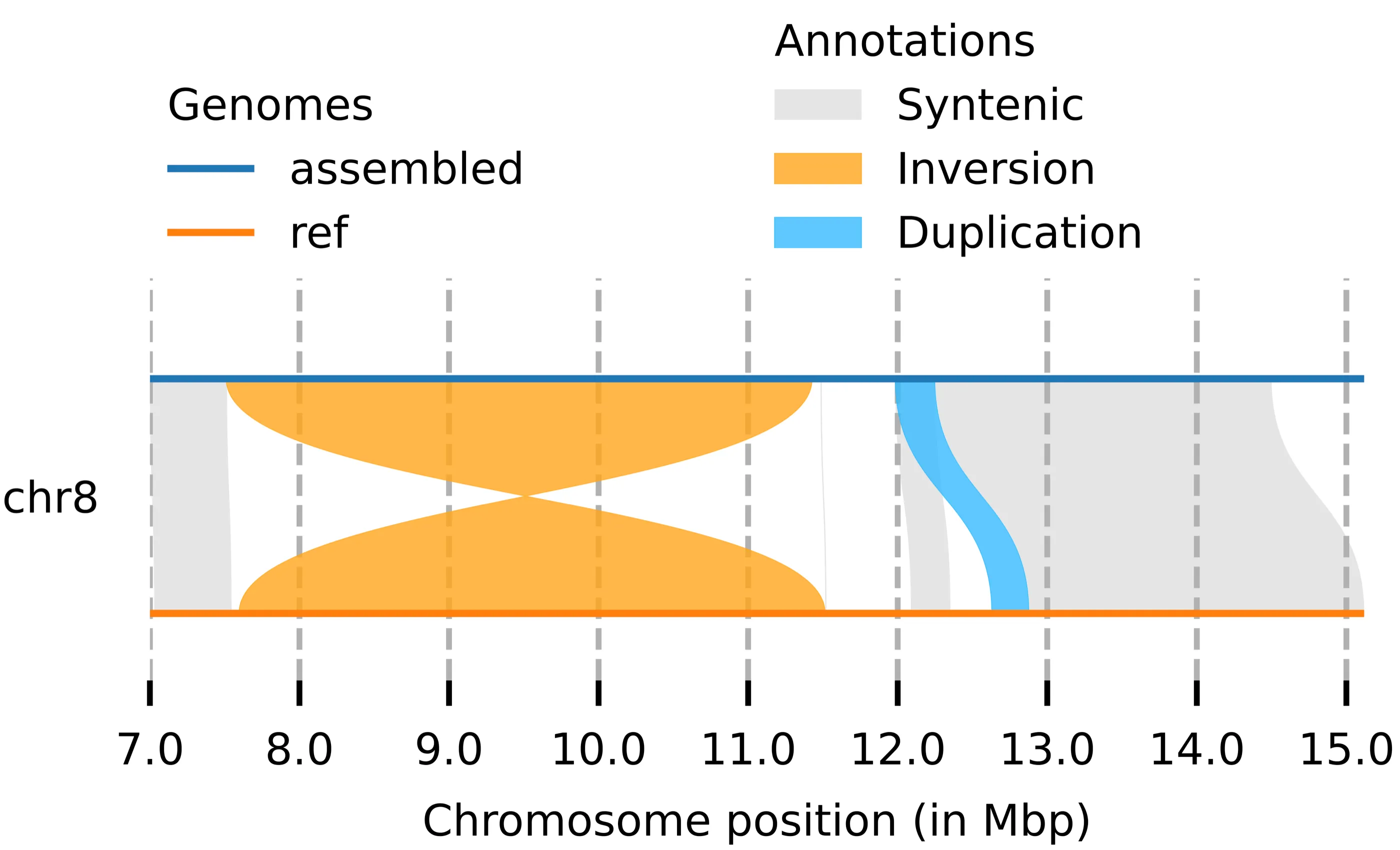 An alignment of chromosome 8 from 7 to 15 Mbp showing a 4.1 Mb inversion (orange) between the assembled Han1 genome and the reference, flanked by syntenic regions.