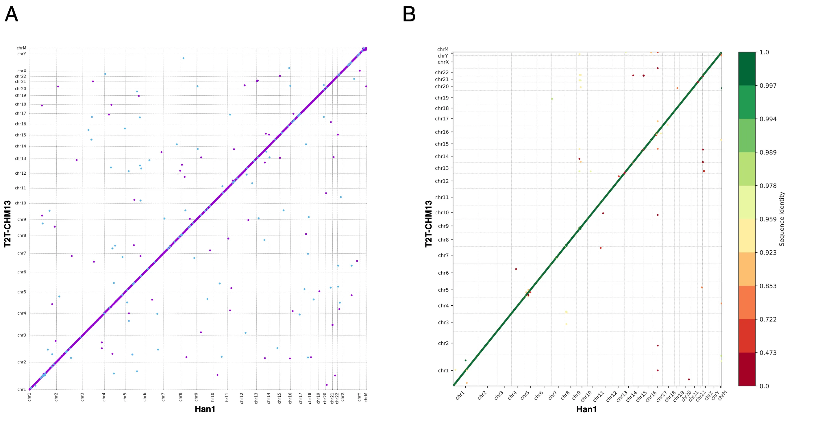 A whole-genome dot plot and a gene-order plot comparing Han1 to T2T-CHM13, both showing strong collinearity along the diagonal with a handful of off-diagonal differences.
