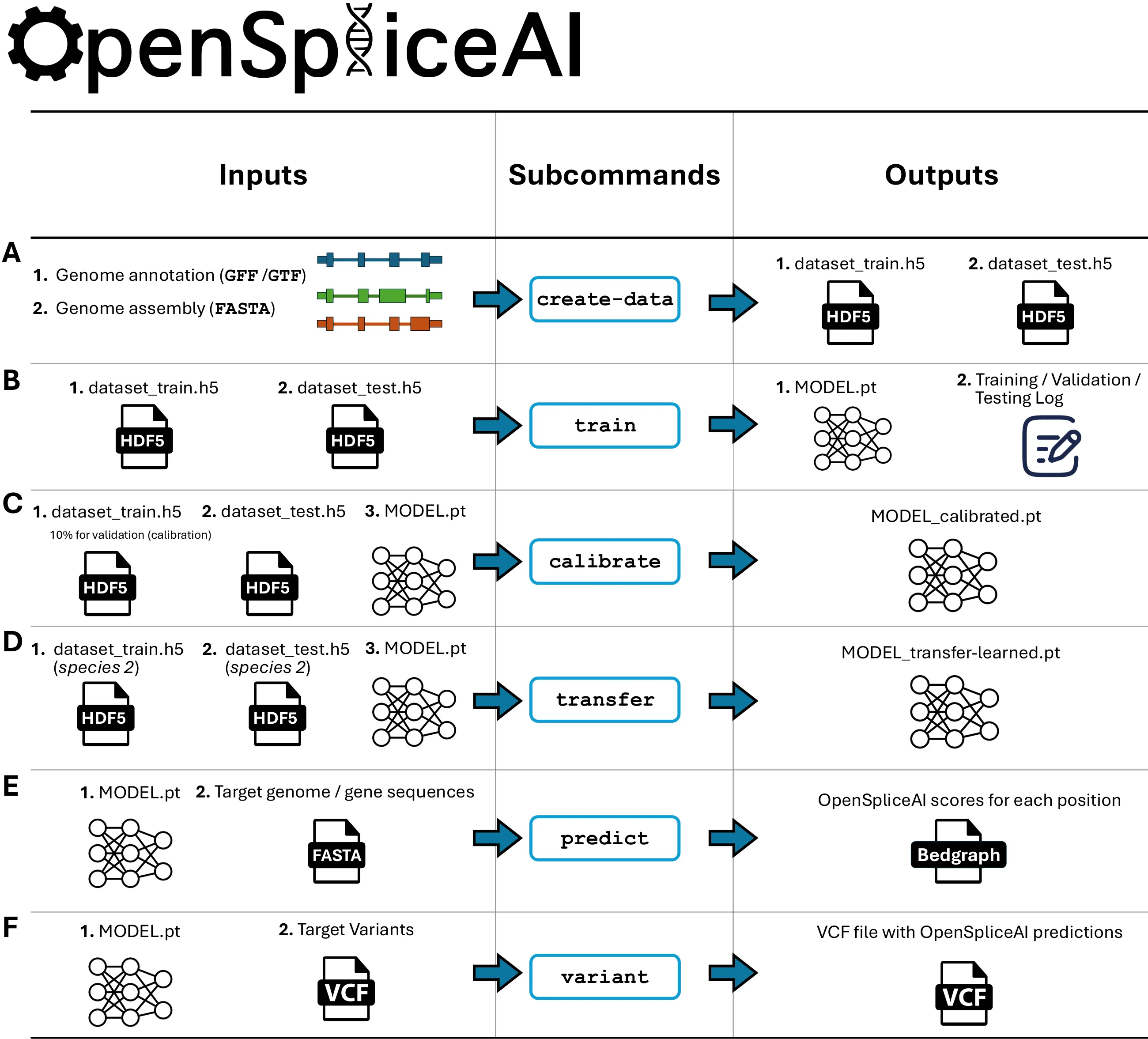 The OpenSpliceAI framework: six subcommands — create-data, train, calibrate, transfer, predict, and variant — with their inputs and outputs.