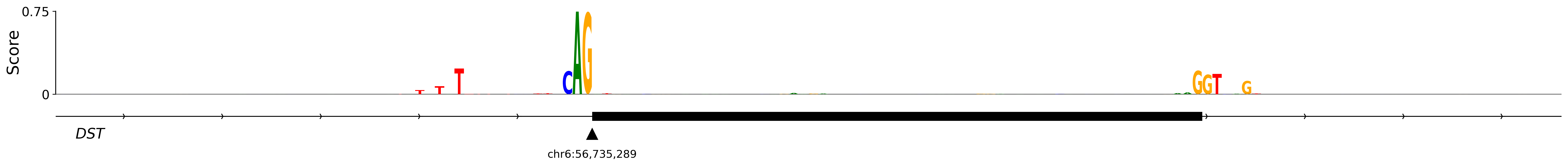 SpliceAI importance logo around the acceptor of DST exon 2