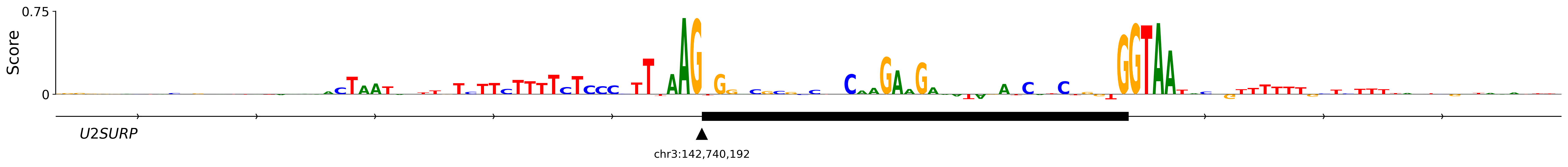 OpenSpliceAI importance logo around the acceptor of U2SURP exon 9