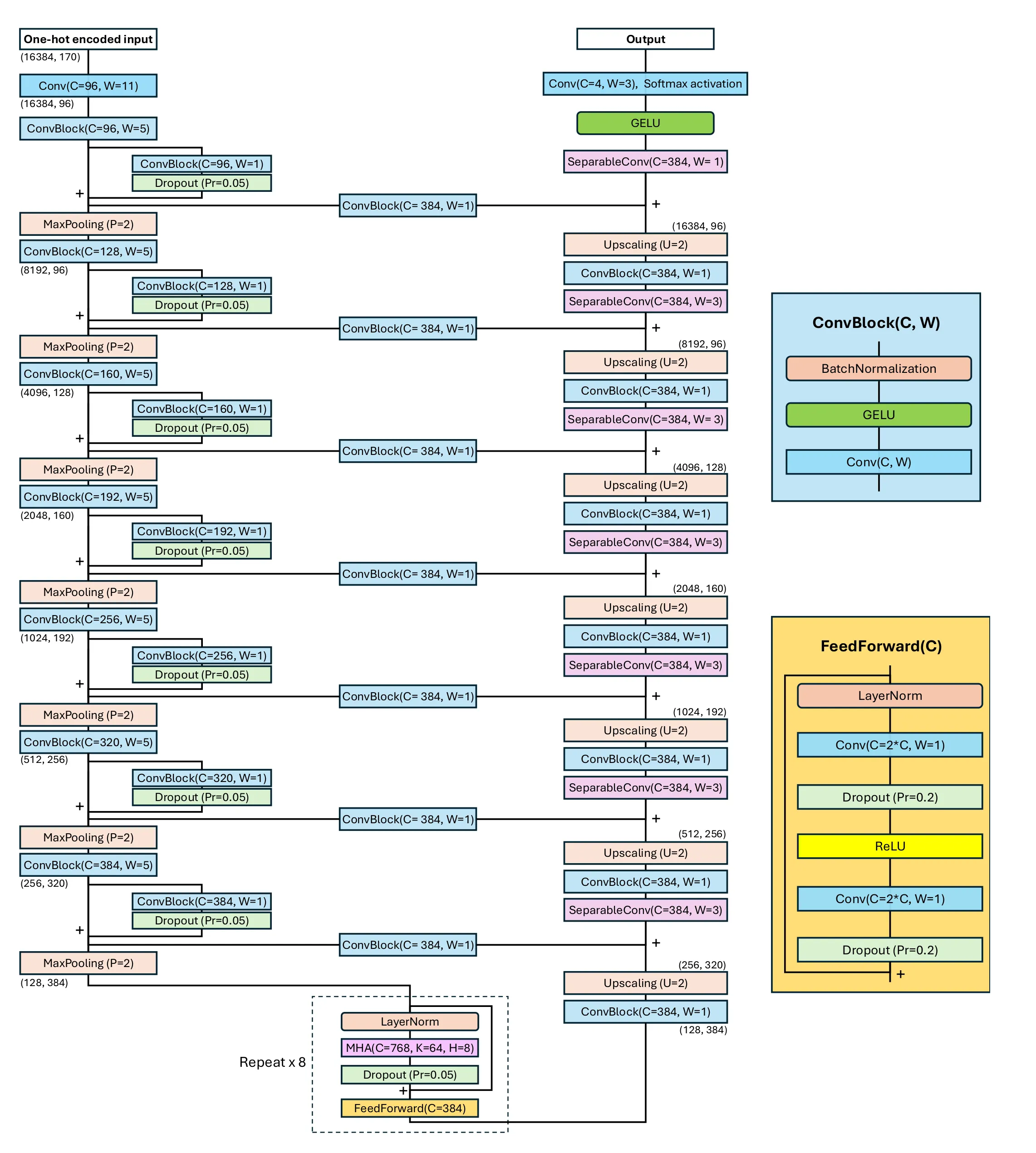 Architecture diagram of the Shorkie language model: a 16,384 bp input passes through a convolutional down-sampling encoder, an eight-layer Transformer bottleneck, and a U-Net decoder back to per-base predictions.