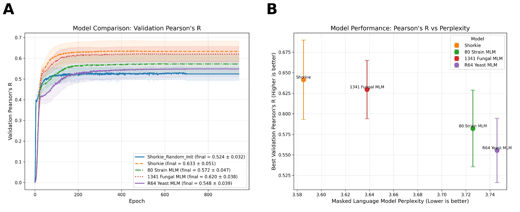 Two panels: validation Pearson's r learning curves for the four pretraining scopes plus random initialization, and best Pearson's r versus masked-LM perplexity, with the 165-genome Shorkie highest and lowest-perplexity.