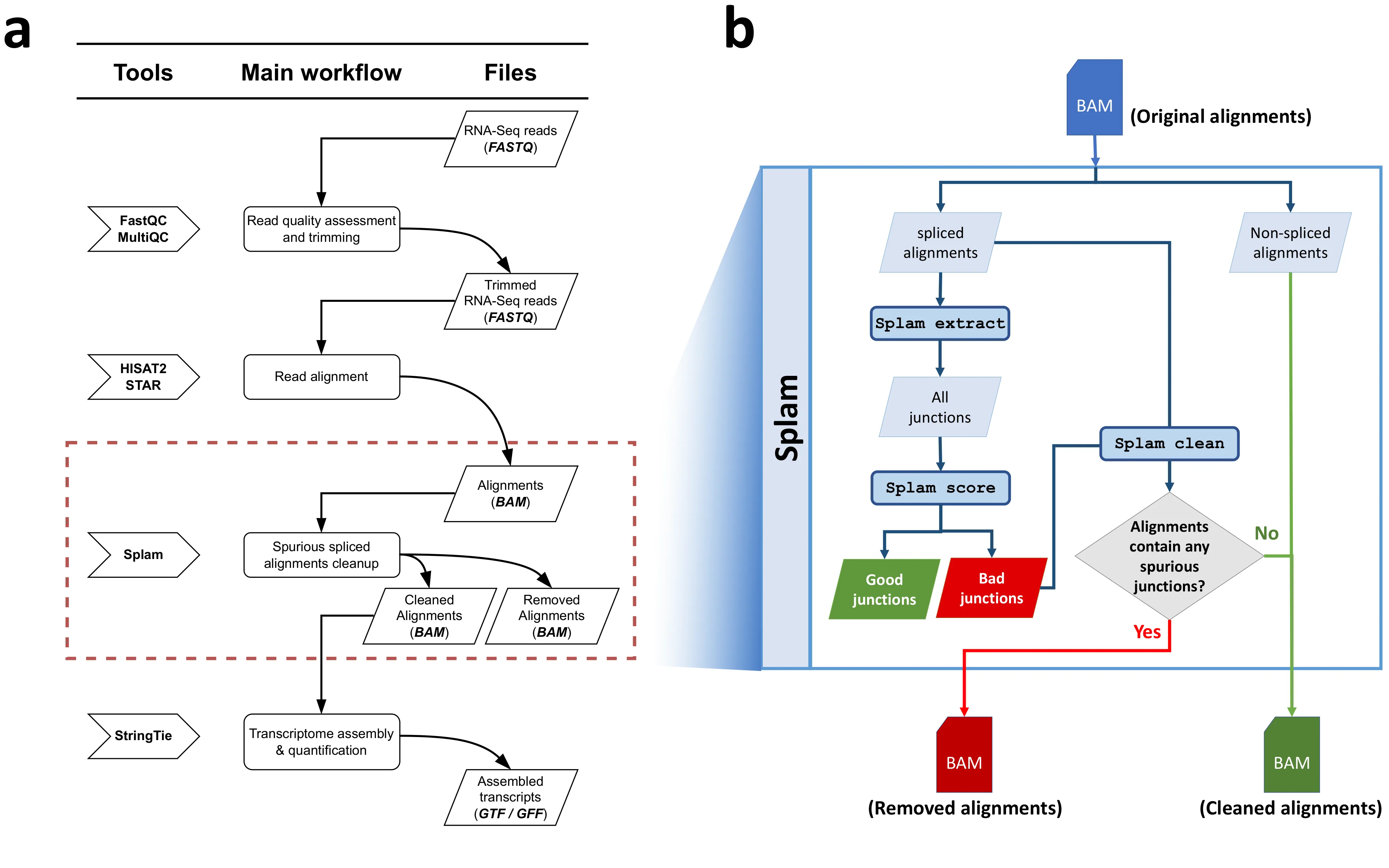 The Splam workflow: inserted after read alignment in an RNA-seq pipeline, it extracts and scores splice junctions and removes spurious spliced alignments before transcript assembly.